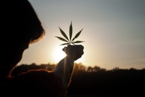 Leia mais sobre o artigo A China está prestes a proibir o CBD em produtos de beleza?