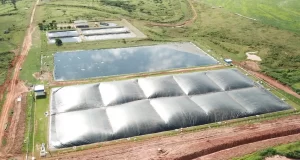 Leia mais sobre o artigo Aporte de R$ 220 Milhões – JBS avança em metas de sustentabilidade no Brasil