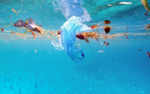 Leia mais sobre o artigo Brasil é o 4º país que mais produz lixo plástico no mundo
