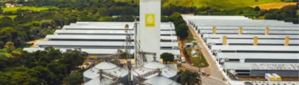 No momento, você está visualizando Bunge e Mantiqueira Brasil fecham acordo para fornecimento de soja