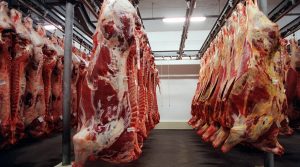 Leia mais sobre o artigo CEPEA: preço da carne bovina segue em alta no atacado de SP