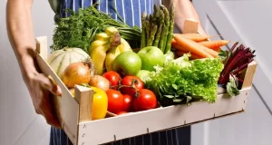 Leia mais sobre o artigo Nordeste em Destaque – Consumo de alimentos orgânicos cresce 16% no Brasil