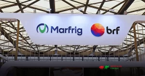 Leia mais sobre o artigo Investimento no Paraná: MBRF direciona R$ 375 milhões à produção de aves e suínos