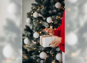 Leia mais sobre o artigo Itens Presenteáveis – Higiene & beleza, chocolate e panetone são as categorias mais procuradas no Natal
