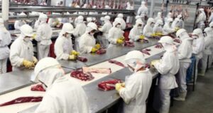 Leia mais sobre o artigo Recorde em 2022 JBS tem maior faturamento de sua história