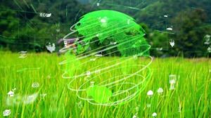 Leia mais sobre o artigo JBS fará pesquisa sobre redução de gases de efeito estufa