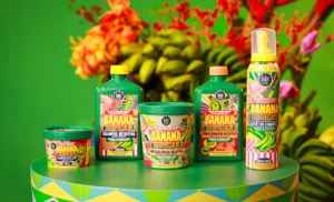 Leia mais sobre o artigo Lola From Rio lança coleção Banana Tropicana com 5 produtos para cabelo