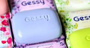 Leia mais sobre o artigo Marca Amplia Portfólio – Gessy aposta em packs e planeja novos produtos