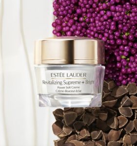 Leia mais sobre o artigo Marca de beleza Estée Lauder desembarca no Brasil