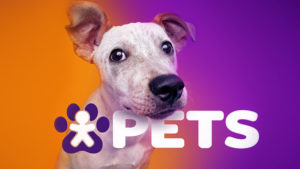 Leia mais sobre o artigo Vivo entra no mercado pet e começa a vender de coleira a bebedouro