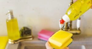 Leia mais sobre o artigo Mudanças na Categoria – Brasileiros estão menos leais a marcas de detergente líquido