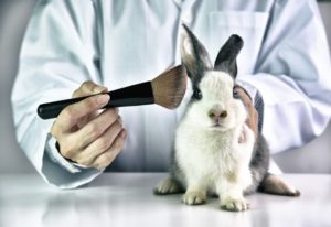Leia mais sobre o artigo O futuro das marcas cruelty free