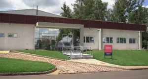 Leia mais sobre o artigo Oportunidades no Mercado Bovino – Lucro da Minerva Foods tem alta de 16,8%