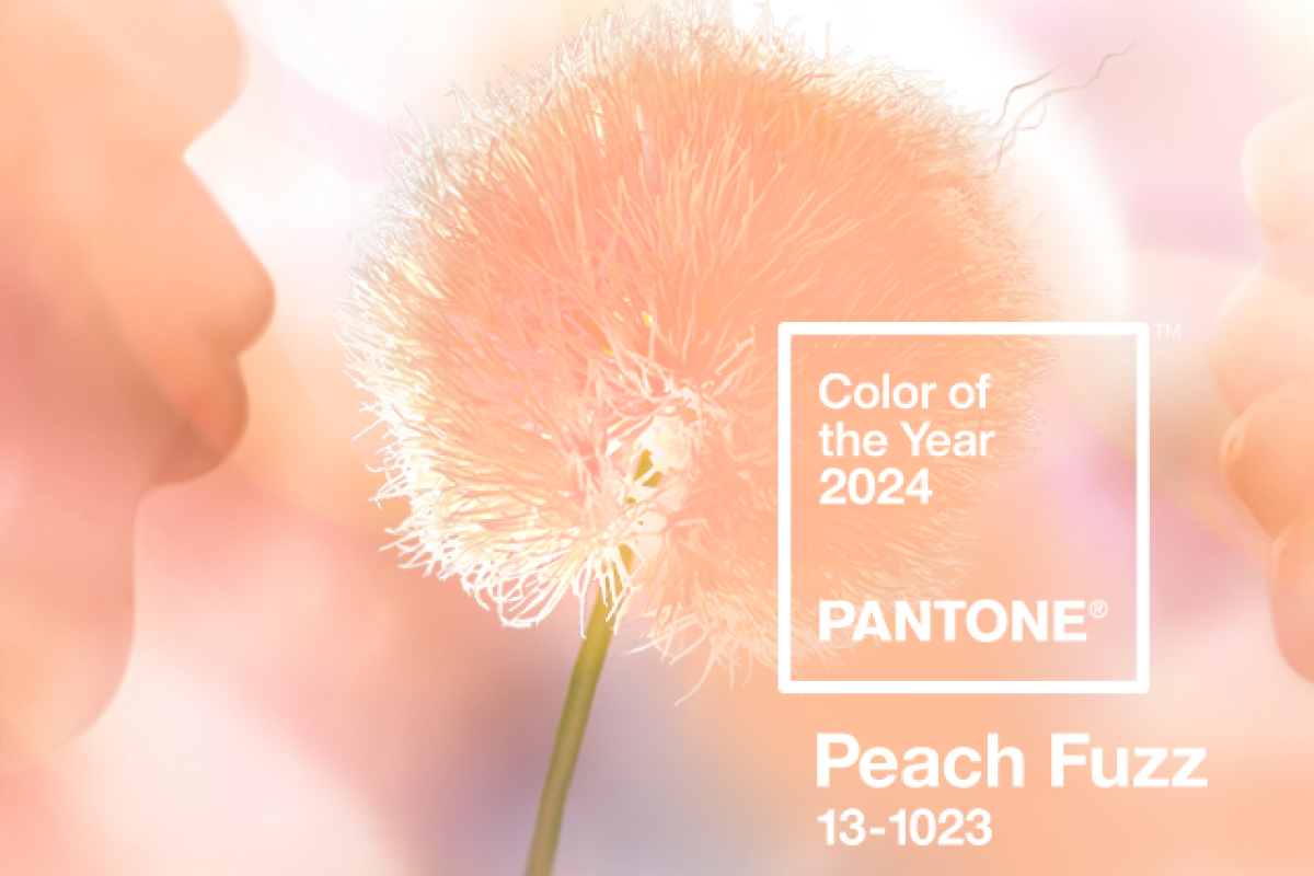 Leia mais sobre o artigo “Peach Fuzz” é eleita a cor de 2024 pela Pantone
