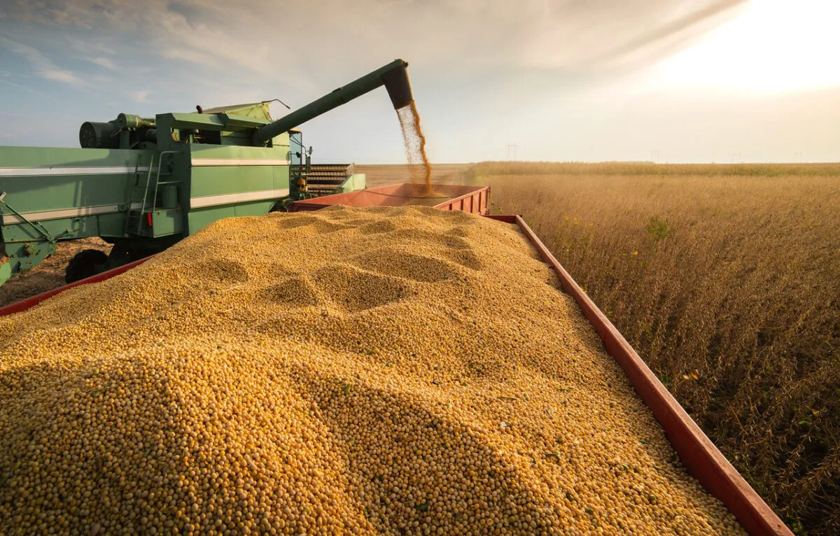 No momento, você está visualizando Abiove mantém estimativa para produção de soja em 2024