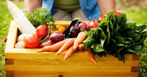 Leia mais sobre o artigo Setor de orgânicos cresce 30% no Brasil em 2020