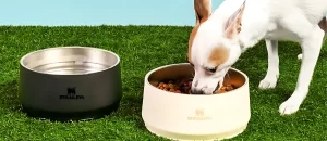 Leia mais sobre o artigo Stanley entra no mercado pet e alcança sua melhor pré-venda