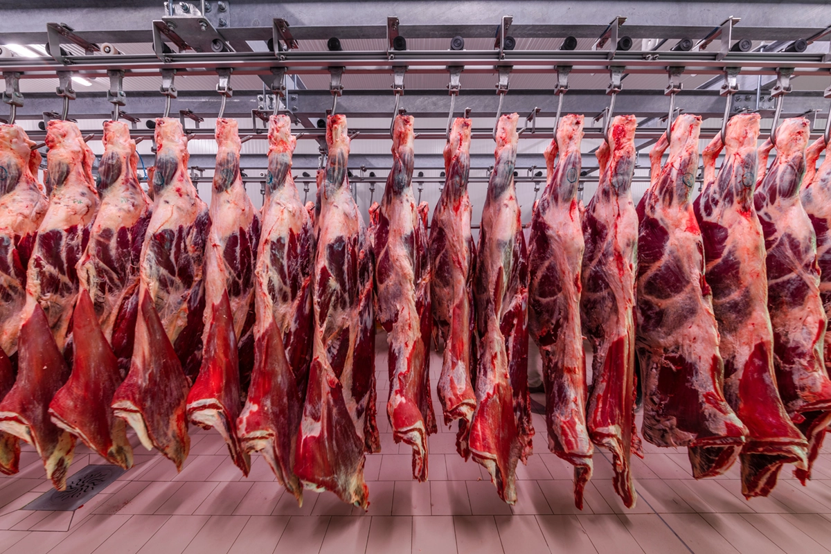 No momento, você está visualizando Importação de carne bovina atinge recorde na China e eleva o risco de barreiras