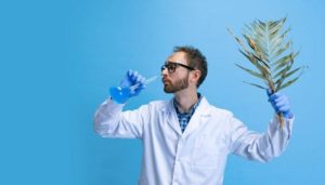 Leia mais sobre o artigo Symrise dificulta análise por cromatografia para proteger fórmulas de perfumes