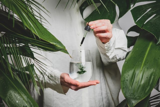 Leia mais sobre o artigo Três ingredientes naturais farão parte da rotina de beleza em 2022