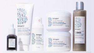 Leia mais sobre o artigo Wella adquire Briogeo, marca de produtos ecológicos para cuidado com os cabelos