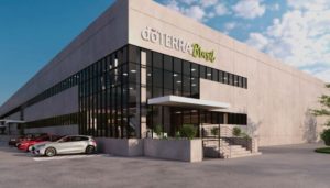 Leia mais sobre o artigo Brasil vem superando todas as expectativas de crescimento”, diz diretor da dōTERRA