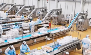 Leia mais sobre o artigo Com tarifa de Trump, indústria prevê perda de110 mil postos de trabalho