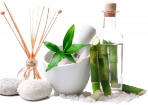 Leia mais sobre o artigo A beleza é orgânica, vegana, natural e não maltrata os animais